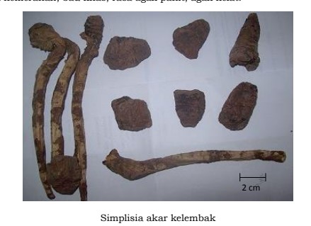 gambar simplisia di halaman detail