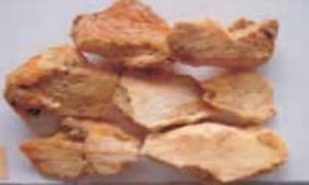 gambar simplisia di halaman detail