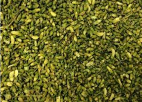 gambar simplisia di halaman detail