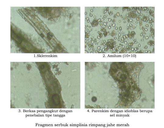 gambar pemerian di halaman detail