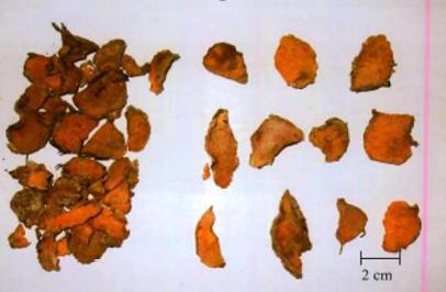 gambar simplisia di halaman detail