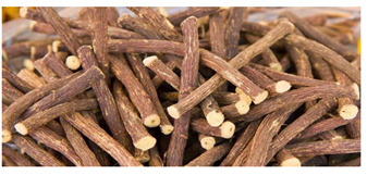 gambar simplisia di halaman detail