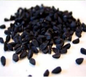 gambar simplisia di halaman detail