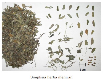 gambar simplisia di halaman detail