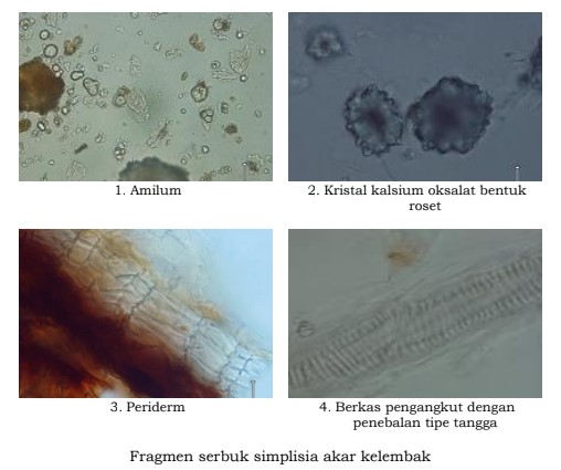 gambar pemerian di halaman detail