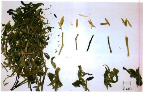 gambar simplisia di halaman detail