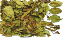 gambar simplisia di halaman detail